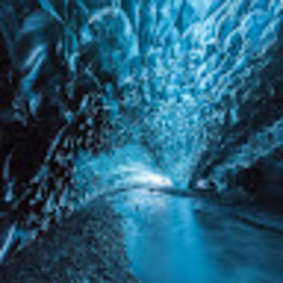 Meet your Posher, Bernardo - Picture 1 of 1